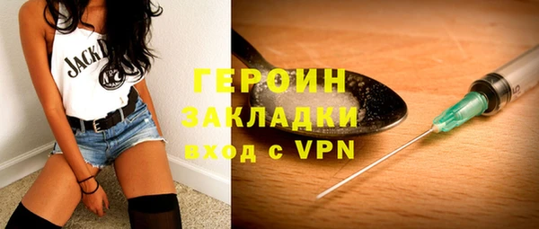 прущие грибы Елабуга