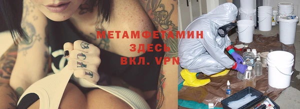 прущие грибы Елабуга