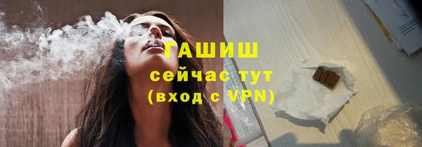 прущие грибы Елабуга