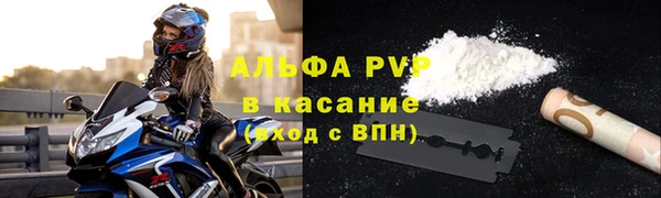 прущие грибы Елабуга