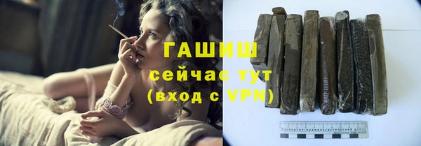 прущие грибы Елабуга
