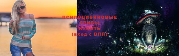 гидропоника Елизово
