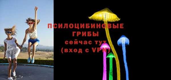 бутират Дмитриев