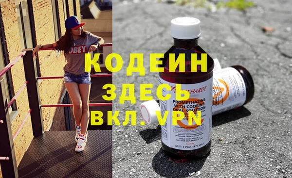 прущие грибы Елабуга
