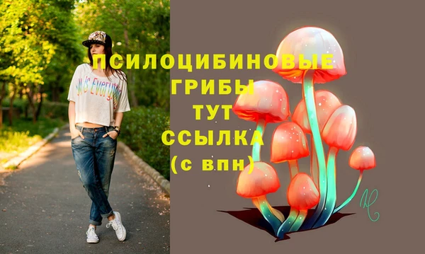 прущие грибы Елабуга