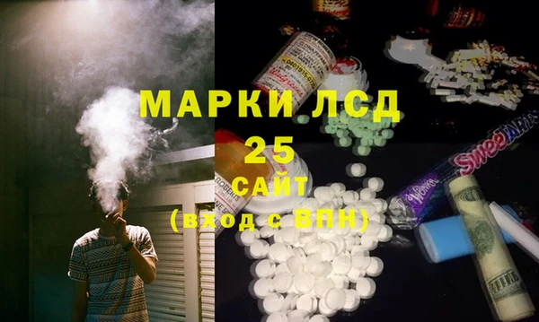 прущие грибы Елабуга