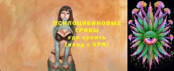 прущие грибы Елабуга