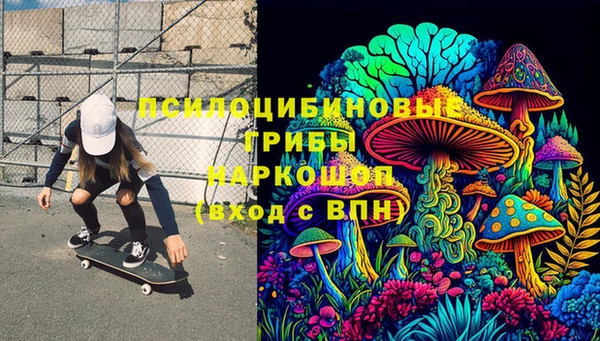 прущие грибы Елабуга