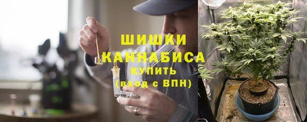 прущие грибы Елабуга
