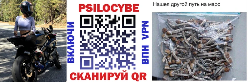 кракен онион  Зарайск  Галлюциногенные грибы ЛСД  где купить наркотик 